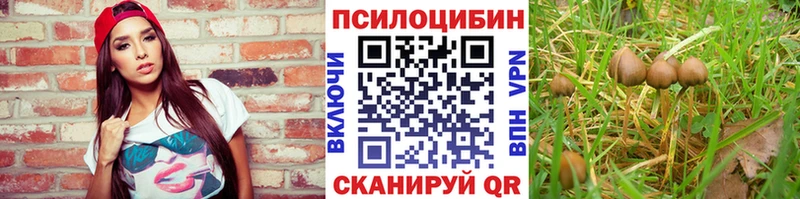 хочу наркоту Донской OMG ТОР Псилоцибиновые грибы GOLDEN TEACHER